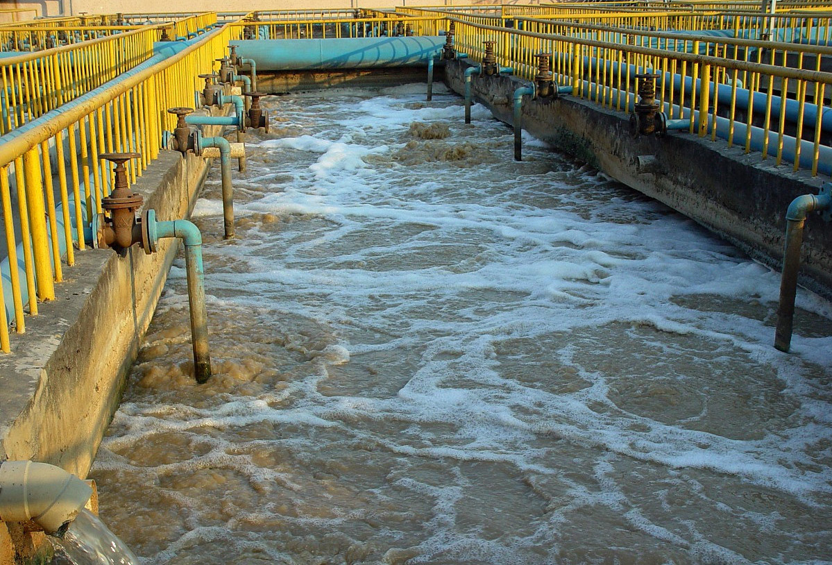 (圖:養(yǎng)殖場(chǎng)污水泡沫池)