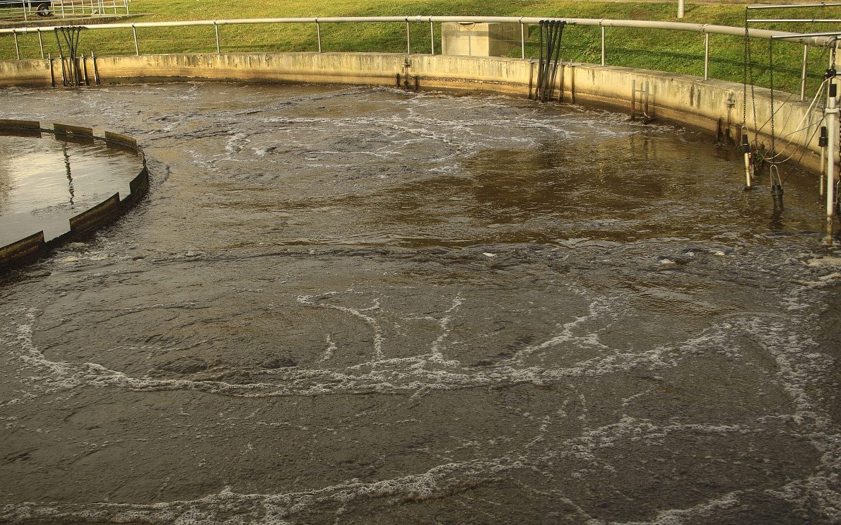 (圖:屠宰場(chǎng)污水泡沫池)