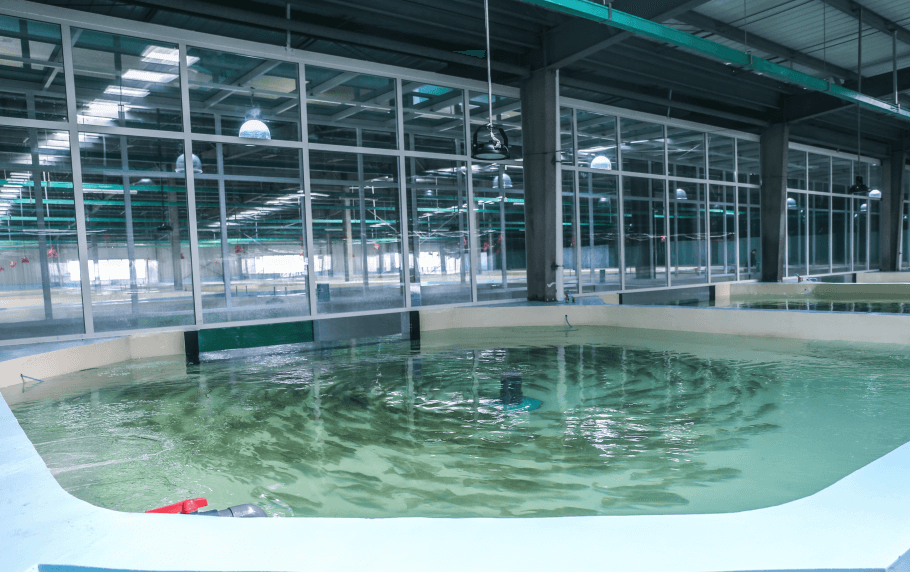 (圖:噴涂水處理用消泡劑應(yīng)用)