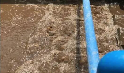 (圖:南輝客戶生化污水池起泡場(chǎng)景)